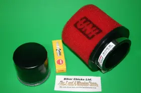Nu8601st Bikerchick 35002 Arctic Cat 99-02 500 Tune Up Kit For Stock Air Box