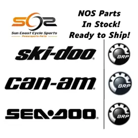 Brp A17210175000 Can-am Mini Ds 90 4-stroke Air Filter Net Oem
