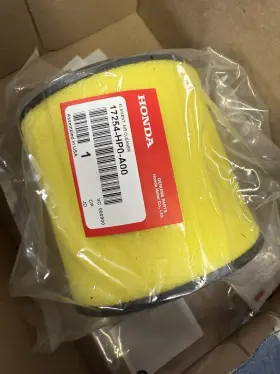 17254-hpo-a00 Honda Oem Air Filter