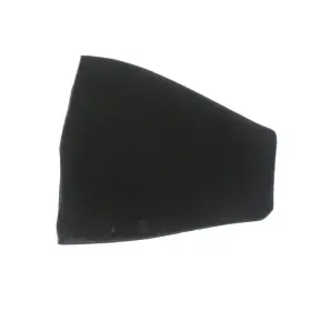 2520738 Polaris Air Filter Part