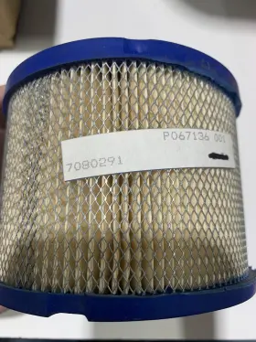 7080291 Polaris Air Filter - 2000