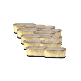 493909 Rotary Corp 12936 Brand Replacement Paper Air Filter Fits B&s 496894