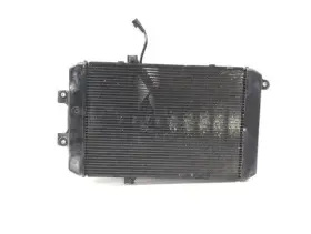 17710-48g00 Suzuki Radiator Cooling Front Fluid With Fan 2006 Boulevard M109r 2731