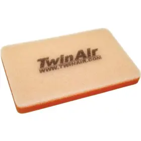 156085 Twin Air - Filter