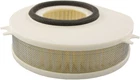 Hiflofiltro Air Filter HFA4913 New. Price: $30.49.