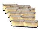 Rotary 12936 Master Ctn Replacement Filter Fits B&s 493909 B1AF132B, 100-085 New. Price: $254.78.