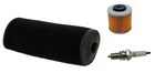 Air Filter Oil & Ngk Spark Plug 2001 For Yamaha Grizzly 4X4 YFM600FW New. Price: $27.95.