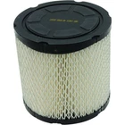 Balls Air Filter 48-1007 Polaris Ace 325 14-16, Eu 15, Hd New. Price: $53.53.