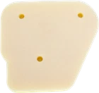 No Toil Foam Air Filter Polaris 315-05 New. Price: $19.99.