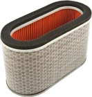 Hiflofiltro HFA1923 Air Filter New. Price: $43.05.