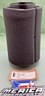 New Genuine Polaris 1253144 Air Filter. Price: $36.00.