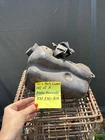 2000 Kawasaki KSF250-A14 Mojave Air Box Chamber Used. Price: $40.00.
