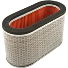 Hiflofiltro Air Filter HFA1923 New. Price: $36.50.