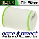 Air Filter For Kawasaki KFX450R (KSF450) Monster Energy 2008-2009 Hiflo New. Price: $26.84.