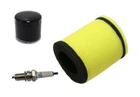 Air Filter, Oil & Ngk Spark Plug For Suzuki Eiger 400 2X4 4X4 2002-2007 New. Price: $24.95.