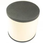 Twin Air Backfire/ Replacement Filter 158270FR New. Price: $60.07.