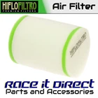Air Filter Replaces Twin Oe Ref: 153908 Hiflo New. Price: $25.30.