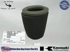 Genuine Kawasaki Oem 11013-0017 Element-air Filter Fits 2008-2009 KFX450R New. Price: $112.98.