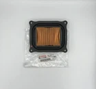 Yamaha Genuine Oem Air Filter BG4-E4461-00-00 New. Price: $30.80.