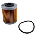 Polaris Short Oil Filter, 2520755 New. Price: $11.99.